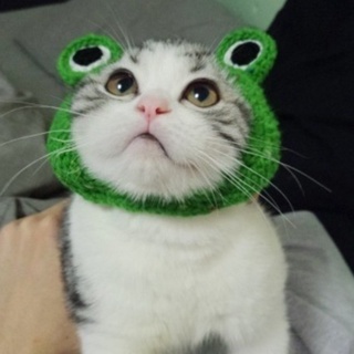 Cat Cute Hand Knitted Wool Pet Hat Frog Cat Dog Fashion Hairband Hat