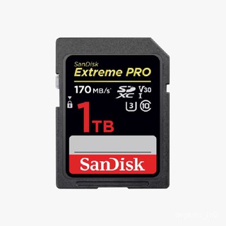 l6Oe SanDisk SD Card Extreme Pro 64GB 128GB 256GB Memory Card 170MB/s U3 V30 4K Flash Card SD Memory
