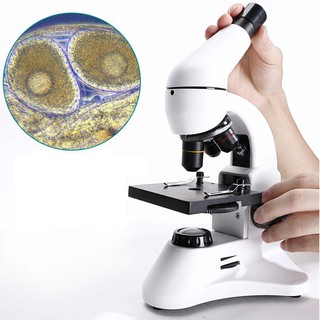 Uscamel Optical Microscope 400X Microscope High Definition Student Specific Biological Research (1)