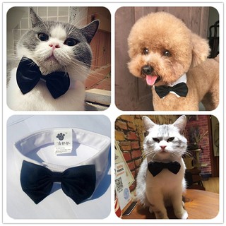 Adjustable Pet Cat Collar Puppy Bowknot Small Dog Bow Tie