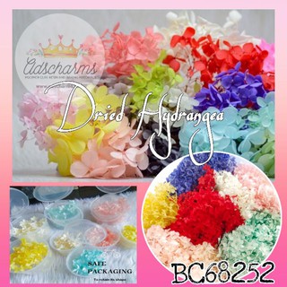 For Resin Art Dried Hydrangea Real Flowers | Resin Flowers Jewelry Craft | Dried Flowers | BC68252 (1)