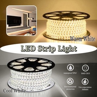1M 5M 10M 15M 20M Outdoor Warm White /Cool White LED Strip Lights for bedroom Background Light