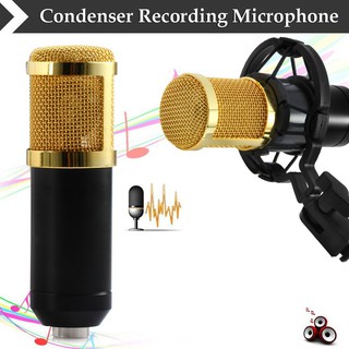 TNJ BM-800 Professional Condenser Microphone (5)