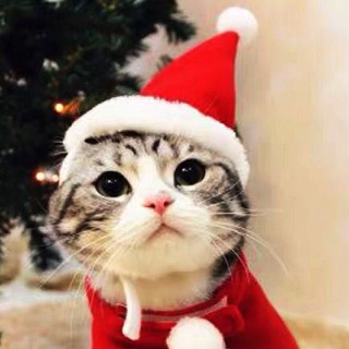 Christmas Pet Santa Hat Puppy Cat Dog Hat Xmas Costume Ornaments (4)