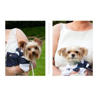 Pet Clothes Cat and Dog Spring and Summer Suit Cat Thin Small Suit Teddy Shirt (4)
