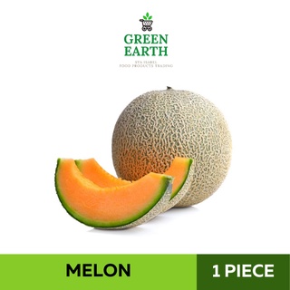 GREEN EARTH Fresh Melon - 1PC