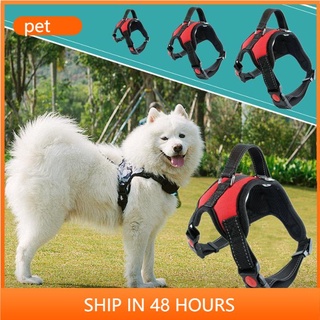 Dog Garter Belt Dog Vest, Red, Large Size, Pet Corset, Size L, The Cheapest Price (excluding Leash) B