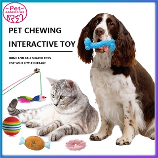 Pet toy bone dog chewing bone toy cat chasing ball toy