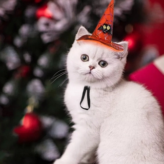 Creative New Products Pet Products Cat Halloween Christmas Hat Spider Pumpkin Headgear Dog Funny Headwear