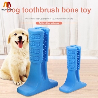 Nontoxic Bite Resistant Rubber Dog Tooth Chew Toothbrush Dental Hygiene for Dogs Cats Pet