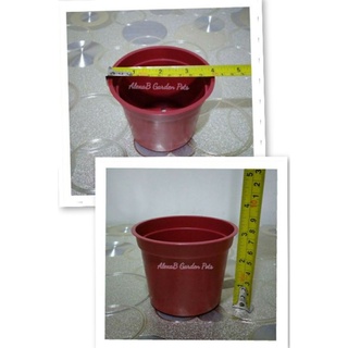 COD 50 Pcs 3*4 inches Taho Pot Planter Pot Cactus Pot Cacti Pot Succulents Pot (1)