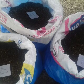 Garden soil 10kgs. Per sack