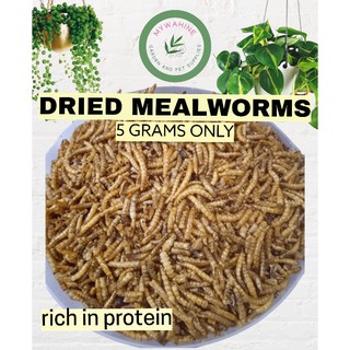 DRIED MEALWORMS (5GRAMS) FOR HAMSTER HEDGEHOGS FISH BIRDS FOOD TREATS