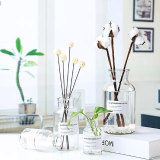 Nordic Design Glass Vase Home Flower Vase Decor (2)
