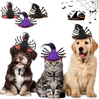 Pet funny headdresses Cat Halloween hats spider headgear dog funny things