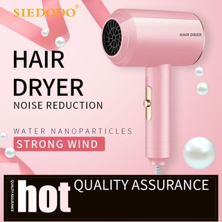 Hair Dryer Hair Blower A88 Negative Ions Hair Care Quick Dry Home Portable Protect Hair Dryer