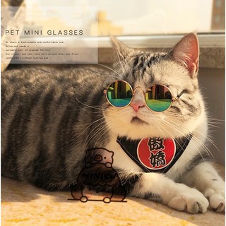 MiNiCo~Pet Sunglasses Teddy Cat Glasses Pet Cool Fashion Accessories Eye Protection (1)