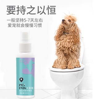 ۩☄✖Dog toilet inducer defecation positioning defecation inducer pet toilet training liquid defecatio