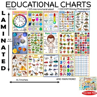 A4 LAMINATED EDUCATIONAL WALL CHARTS for Kids Teacher Pher ALPHABET ABC CHART