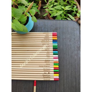 Plantable Pencil |Eco Pencil |Assorted Seeds