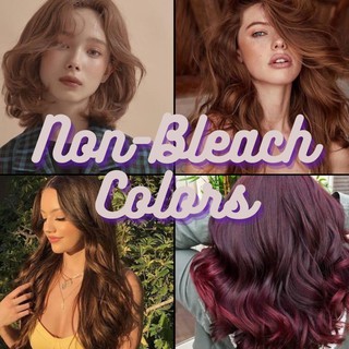 Non-Bleach Colors (Permanent Hair Dye)