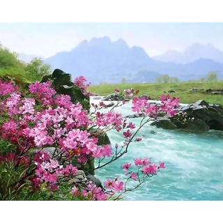 【best sale goods】 Canvas Paint By Number Kit Oil Painting DIY Romantic Flower
