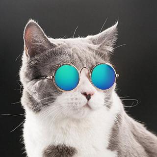 Cool Pet Dog Sunglasses Eye Protection Wear (4)