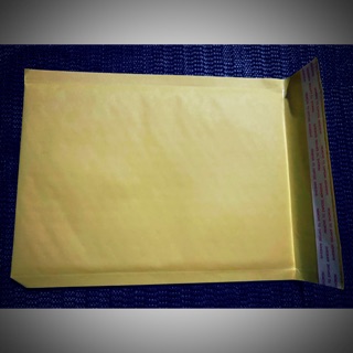 Bagkraft Paper Bubble Wrap Envelope