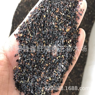 Wholesale Flower Seeds Chinese Pink Seeds New Picking Grass Flower Carnation Seed Quantity Discount