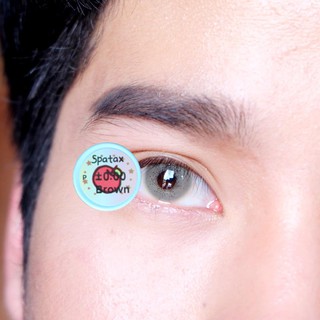 Spatax Brown Contact Lens