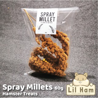 Spray Millets 60g for small rodents