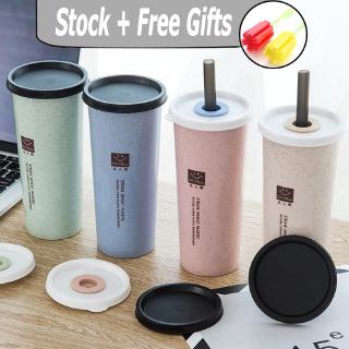 Drinking Bottle Tumbler Model with Leakproof with Straw Wheat Straw Material (1)