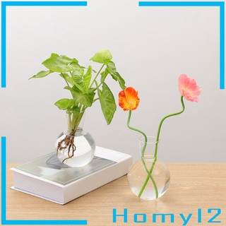 [HOMYL2] Round Shape Glass Plant Flower Landscape Vase Container Transparent Bulb Vase