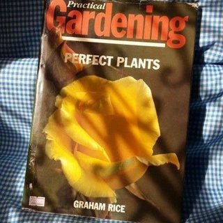 GARDENING: PRACTICAL GARDENING PERFECT PLANTS.