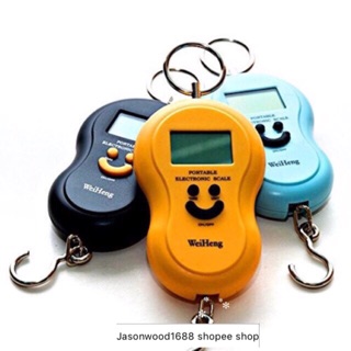 Electronic travel digital hanging scale