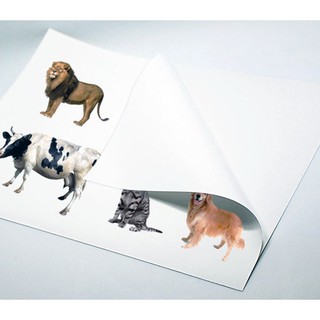 Itech Photo Sticker Paper Glossy A4 Size 135gsm 50 Sheets (6)