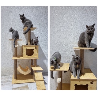 【COD】Pet Cat Tree Tower cat condo House cat carrier cat box cat bed (7)