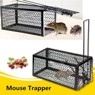 [CNW] Mouse Trap Rat Hamster Catch Bait Hunting Survival mousetrap