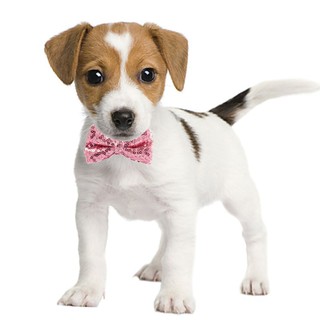 Dog Wedding Dress Puppy Birthday Party Supplies Cute Tutu Skirt Bowtie Crown Hat (6)
