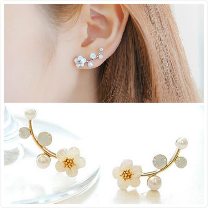 （ Ready Stock ）Shell Pearl Pearl Earrings Korea Simple Earrings Earrings S