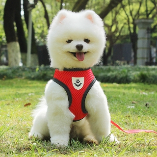Cute Dog Harness Puppy Fashion Mesh Vest + Leash Lead Set (2)