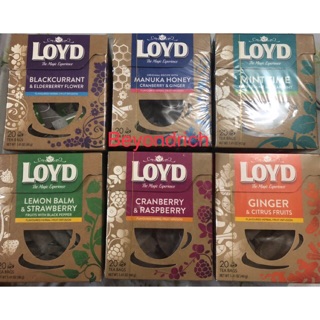 Loyd Flavoured Herbal Fruit Infusion Blackcurrant Cranberry Manuka Honey Peppermint Ginger Citrus