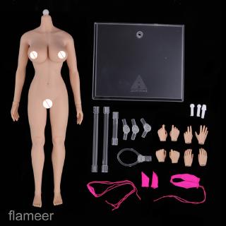 [FLAMEER] 1/6 Scale Female Seamless Body Large Bust Stainless Steel Figure Doll Gift