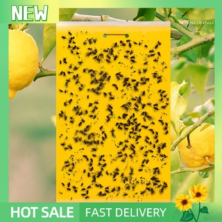 WX-HS 20Pcs/Set Fly Insect Killer Adhesive Odorless Safe Glue Fly Board for Garden