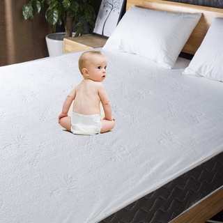 ▩◄∈[Ready Stock]Bamboo Waterproof Bed Protector Bedbug Proof Mattress Cover Home Hotel Bedding Queen