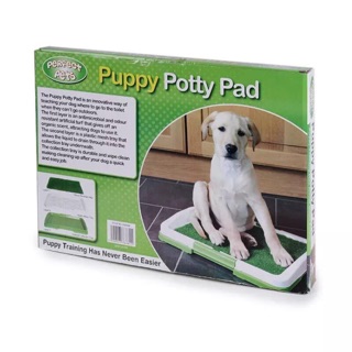 Indoor Grass Patch Puppy Potty Pet Dog Pee Training Mat Pad