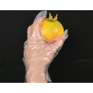 100pcs disposable transparent plastic hand gloves food grade dinning