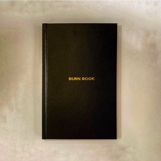 Burn Book (Inspired by "Burn After Writing" by Sharon Jones)