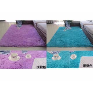 （Length 120 width 80）fluffy Shag Area Rug Home Decor Bedroom Living Room Fuzzy Carpet Soft
