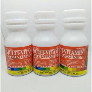 MULTI-VITAMIN with Vitamin B12 (100pcs)